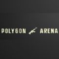 多边形竞技场手机版