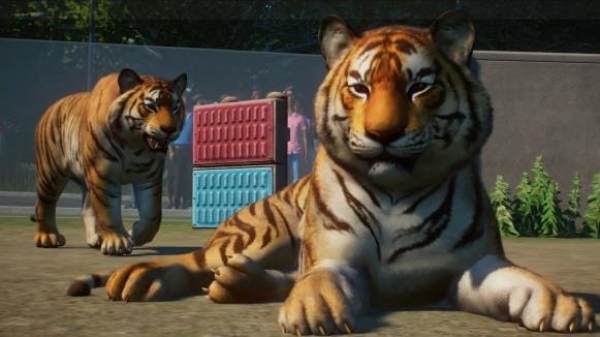 动物园之星steam免费正版截图3