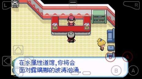 宝可梦剑盾gba版截图1