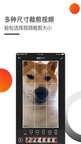 短视频小秘书剪辑APP官方版截图2