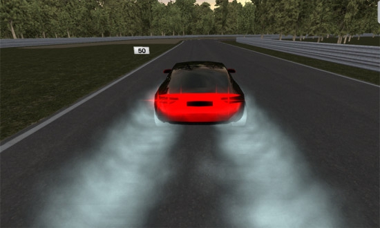 真实赛车速度与激情截图2