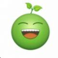 豌豆短视频app最新版