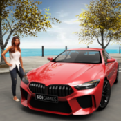 停车之王驾驶城市2024