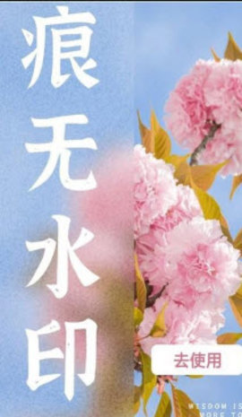 水印扣除手机版截图1