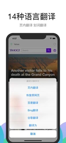 Alook浏览器最新版截图1