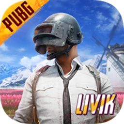 pubg2024最新版