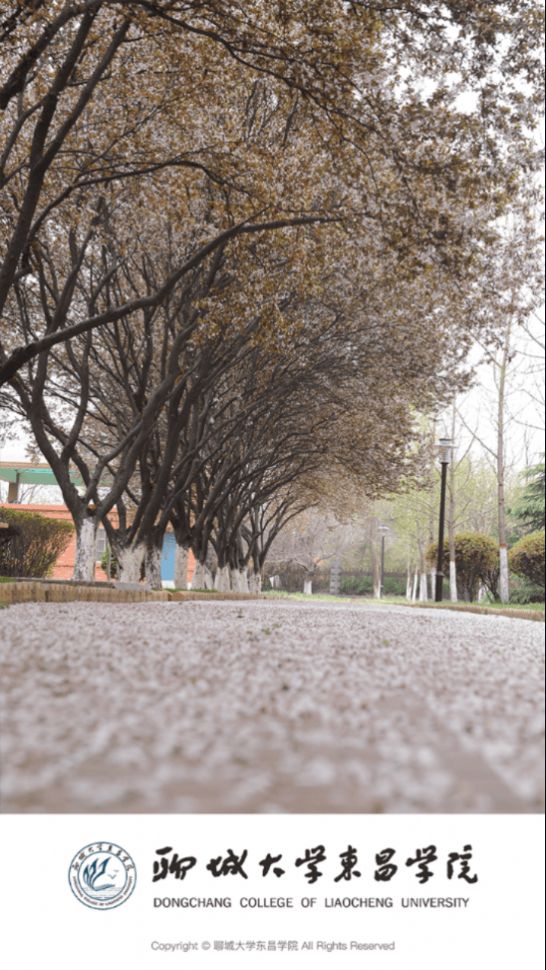 聊城大学东昌学院官网版