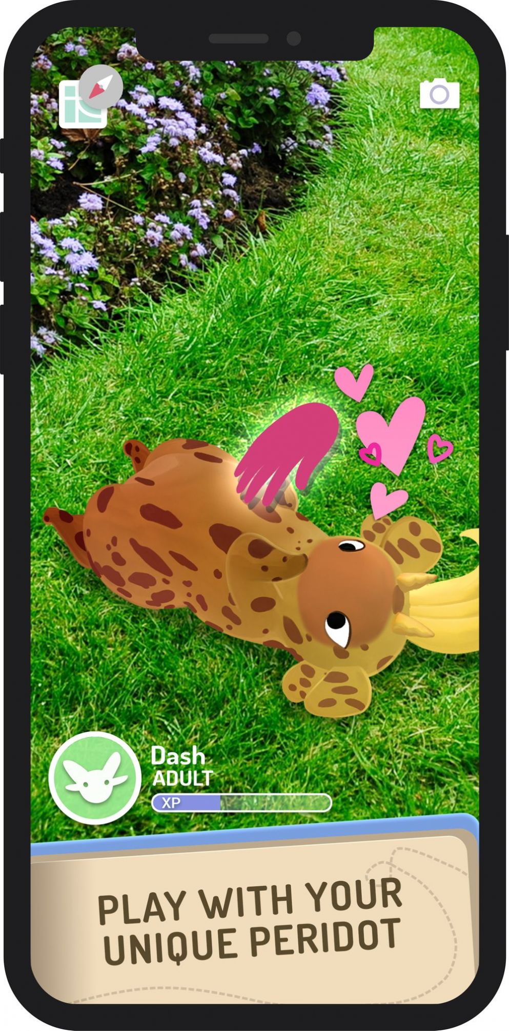 Peridot中文版截图1