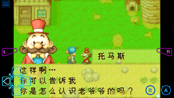 牧场物语矿石镇的伙伴们女孩篇