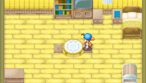 牧场物语矿石镇的伙伴们女孩篇2014汉化版