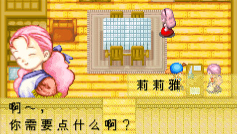 牧场物语矿石镇的伙伴们女孩篇2014汉化版