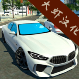 2024汽车驾驶学校无限金币