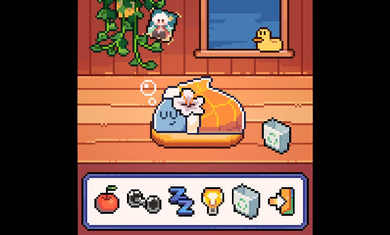 我的小鲨鱼安卓版截图1