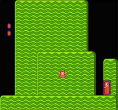 超级玛丽USA休闲