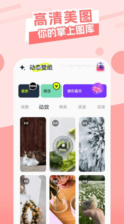 主题库精灵官方版截图2
