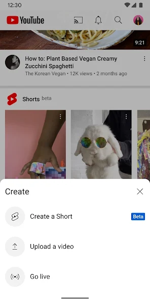 youtube国外版