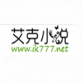 艾克小说
