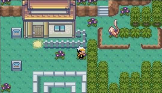 口袋妖怪时空的战歌截图2