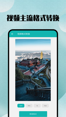 格式转换大师免费版截图1