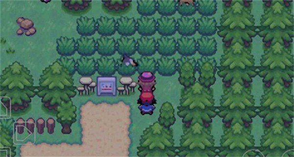 口袋妖怪龙之石