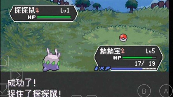 口袋妖怪龙之石