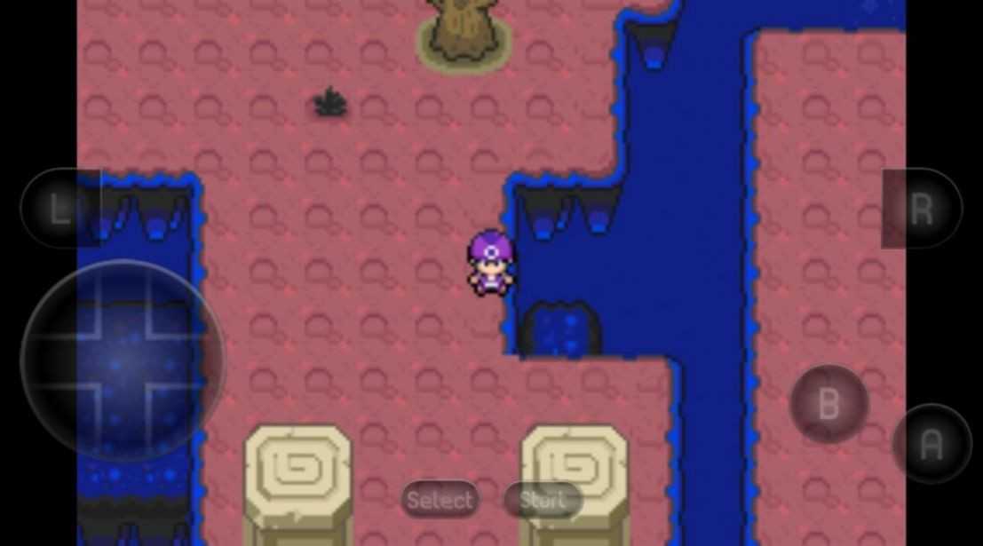 口袋妖怪黑琥珀版截图1