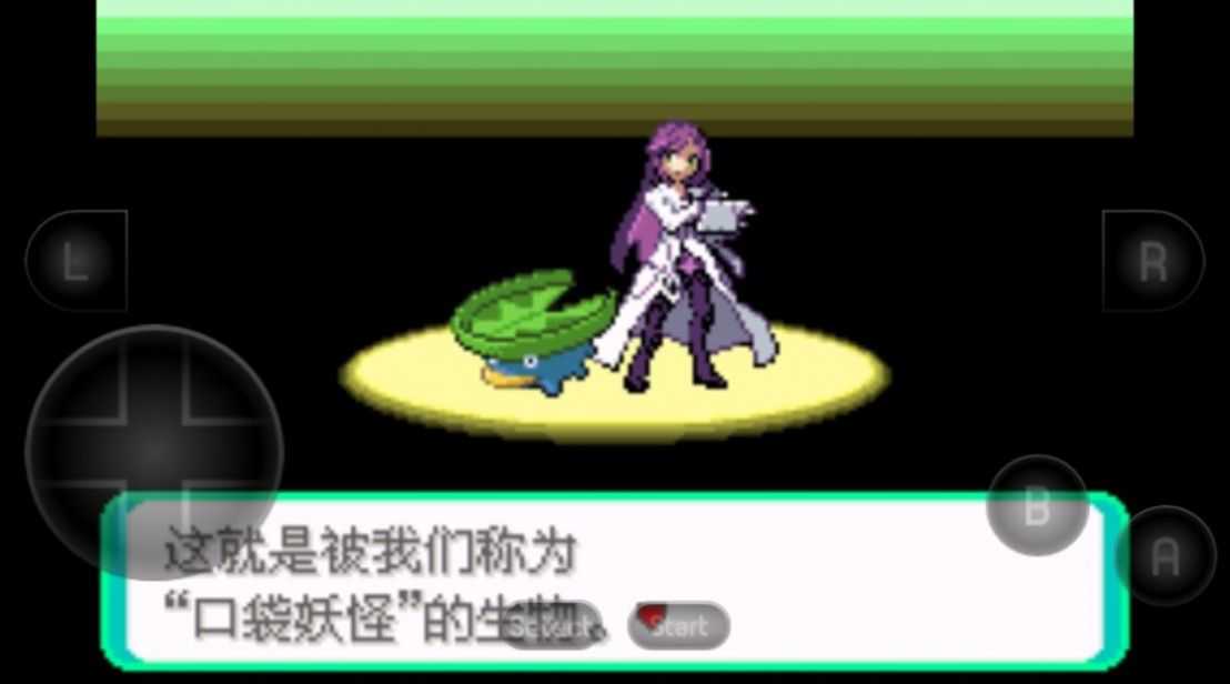 口袋妖怪黑琥珀版