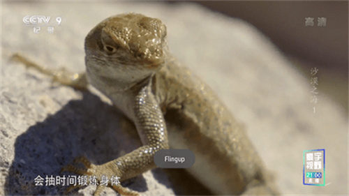 星火电视直播1.0.47截图3