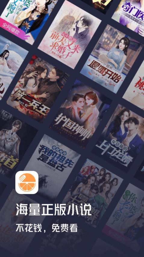 青橙小说app截图2