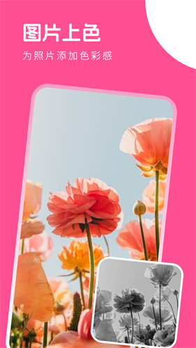 萌喵相机安卓版截图3