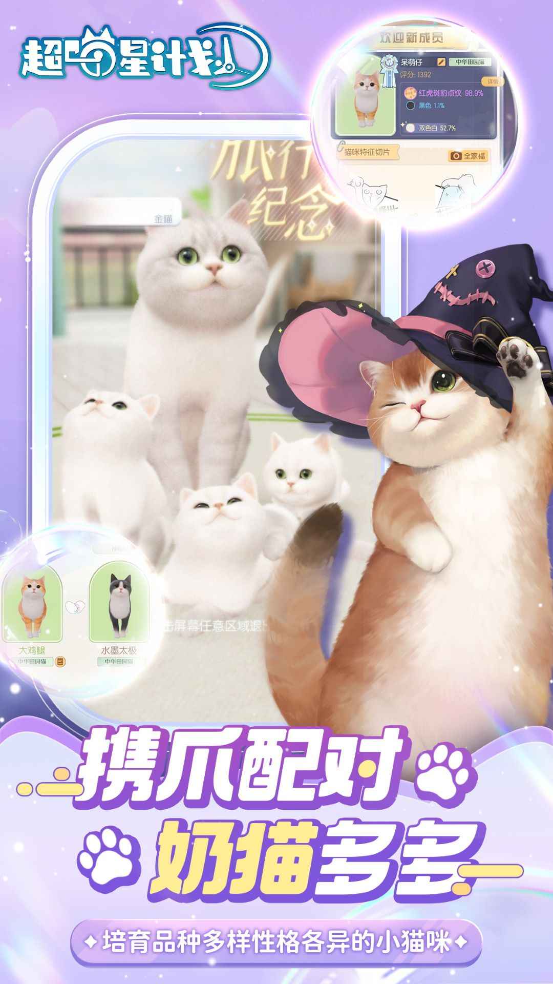 超喵星计划官网版截图1