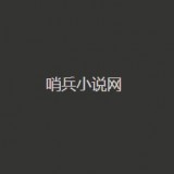 哨兵小说免费版