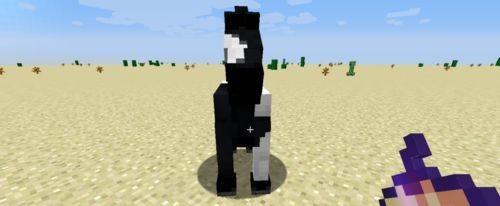 我的世界少年骇客版