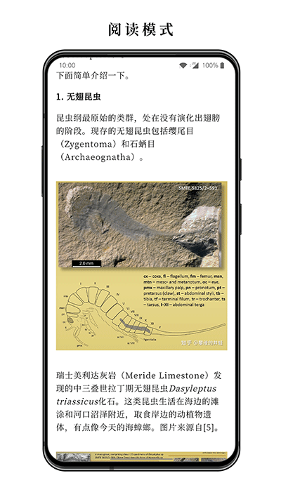 慢读小说app截图1