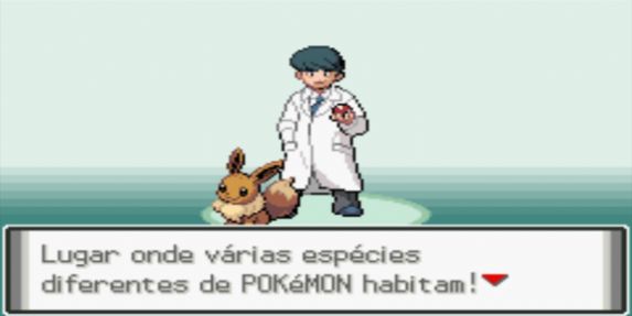 口袋妖怪黑暗崇拜截图3