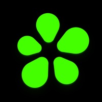 icq手机版