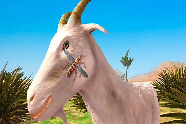 蚊子模拟器3D截图1