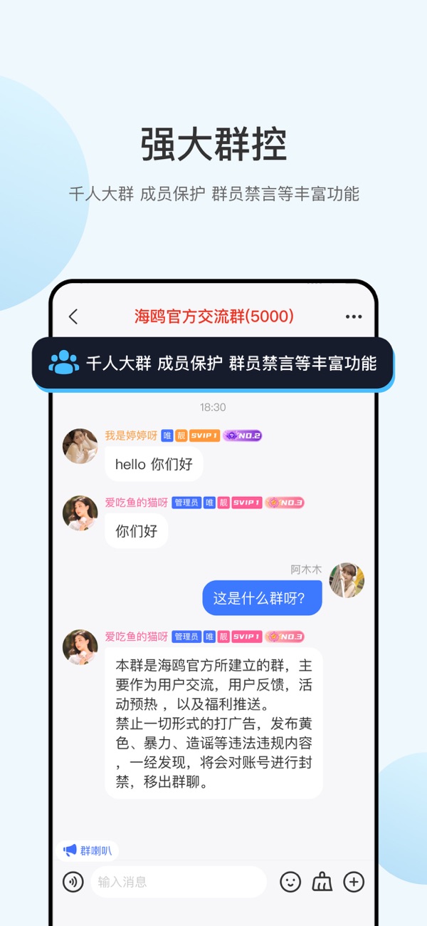 海鸥安卓版