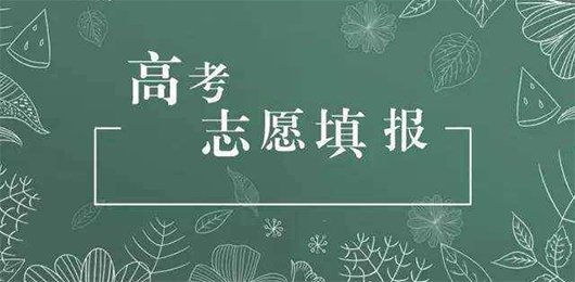 好用的志愿填报软件排行榜