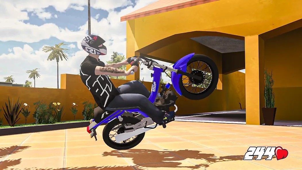 244巴西翘头模拟截图2