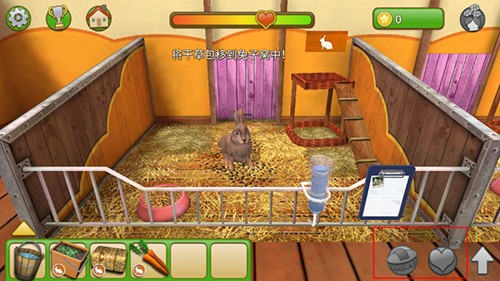 宠物世界3D我的动物救援新手攻略8