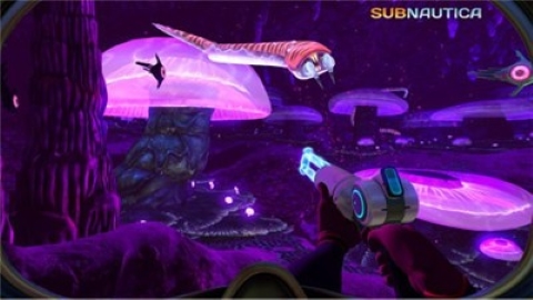 美丽水世界中文版截图2