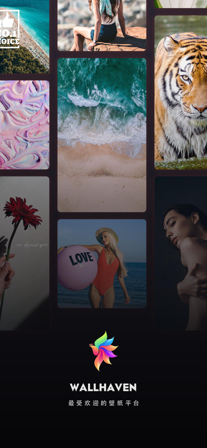 Wallhaven手机版