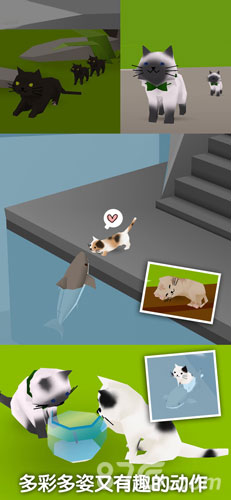 猫猫与鲨鱼游戏