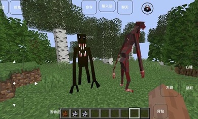 我的世界雾中人手机版截图2