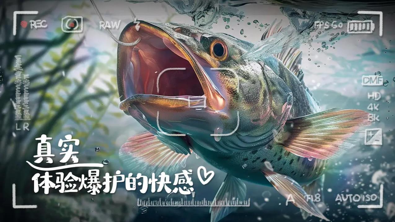 垂钓大师最新版截图4