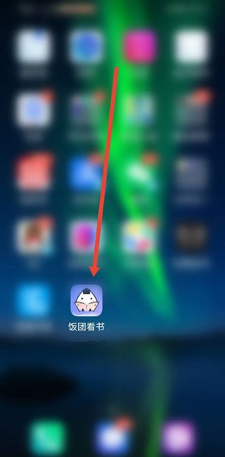 饭团探书