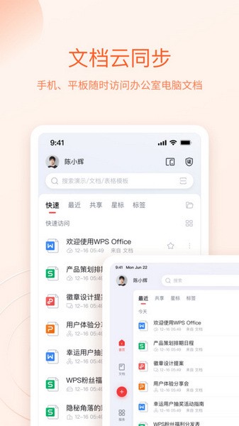 wps精简版吾爱截图2