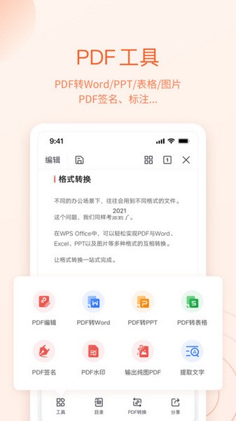 wps精简版吾爱截图1