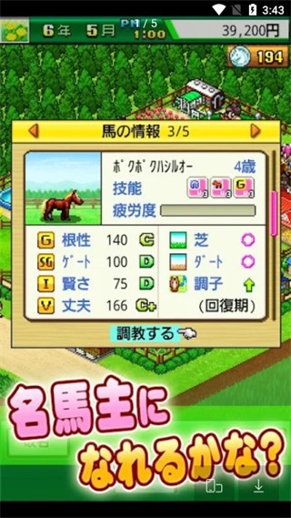 顶级跑马牧场debug